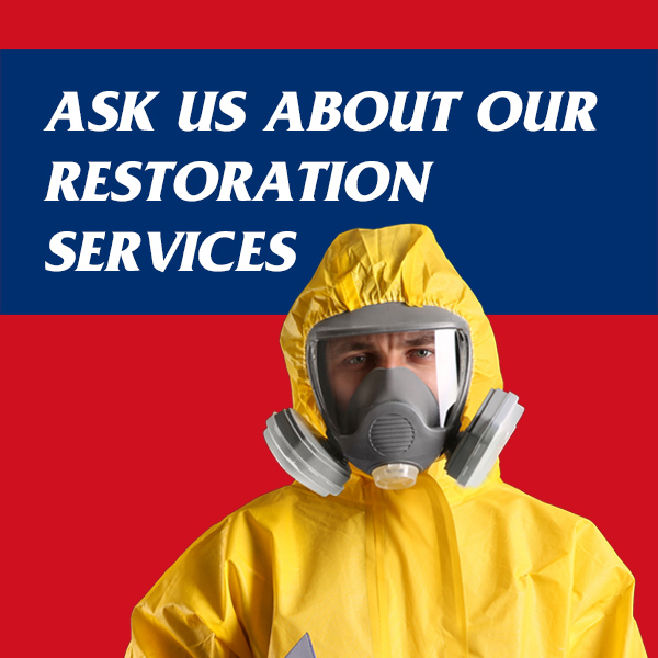 Ask us about our restoration services